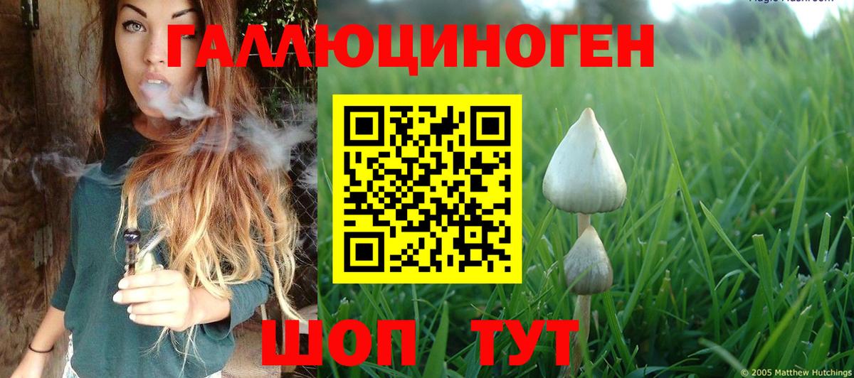 Псилоцибиновые грибы MAGIC MUSHROOMS  Вход с VPN  Кириши 