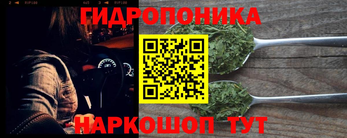 Бошки Шишки план  Марихуана план  Конопля MAZAR  Шишки марихуана OG Kush  Кириши  Вход с VPN 